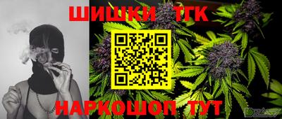 тгк Партизанск